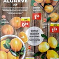 antevisão folheto Lidl 1 a 7 fevereiro_2.jpg